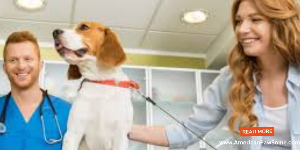 When to Chat with the Vet for kennel Cough