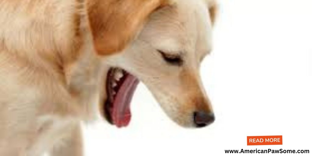  World of Kennel Cough
