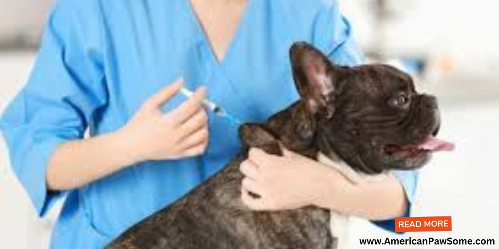 Vaccination for dogs