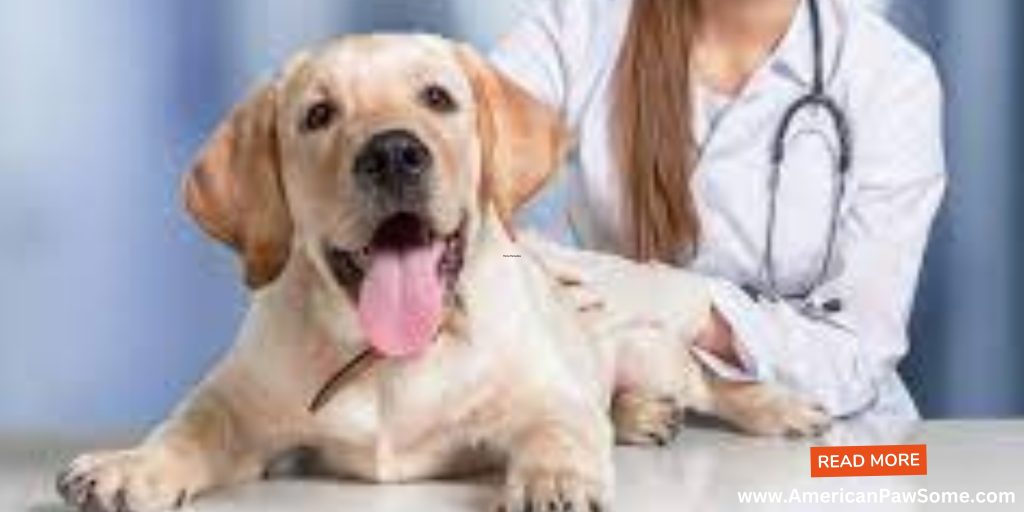 Treating Kennel Cough